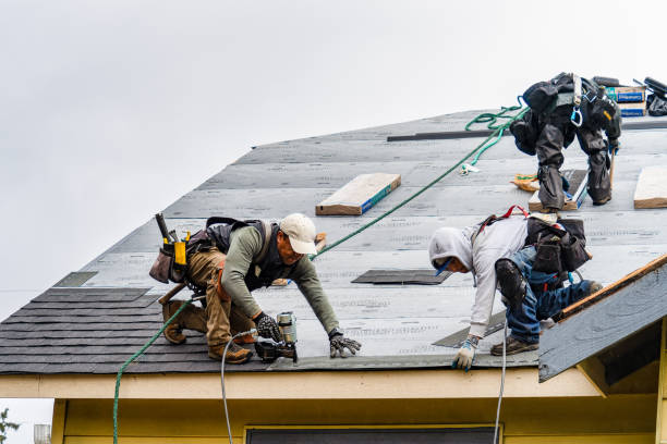 Professional Roofing technician working in Livingston, WI